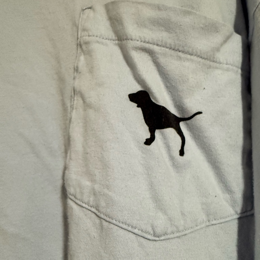 PINK Victoria's Secret Light Blue Long Sleeve Tee - Picture 2 of 4